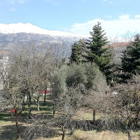 Апартаменты Gks Park View Янина Экстерьер фото